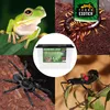 Fauna Box High Large – Transportbox & Kunststoffterrarium Produktbild-Vorschau 4
