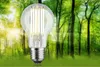 Paulmann Eco-Line Filament 230V LED Ampoule individuelle Voir les images du produit 6