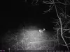 Outdoor Wildlife Hunting Trail und Wildkamera OXE Panther Produktbild-Vorschau 28