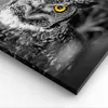 Bild auf Leinwand - Leinwandbild - Eule Vogel Natur - Produktbild-Vorschau 5