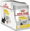 ROYAL CANIN Dermacomfort - Nassfutter für Hunde - 12 x 85 g Produktbild-Vorschau 3