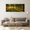 Bilder auf glas - Wald grün Sonnenstrahlen Natur - 120x50cm Produktbild-Vorschau 7