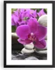 Gerahmtes Poster - Schwarzer Rahmen - Orchidee Bambus Produktbild-Vorschau 1