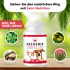 Saint Nutrition® Zeckenix - Zecken Tabletten – zum Schutz Produktbild-Vorschau 4