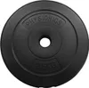 Physionics Zestaw obciążeń 2 x 2,5 kg, 30/31 mm Podgląd zdjęcia produktu 1