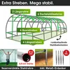 BRAST Gewächshaus Foliengewächshaus mit Stahlfundament | Produktbild-Vorschau 4