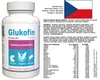 Glukofin - 60 Kapseln hochdosiert - Original Rezept aus der Produktbild-Vorschau 8