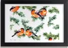 Bild 30x20 MDF-Rahmen, Wandkunst Robin auf iglaku Produktbild-Vorschau 1