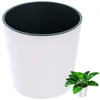 Blumentopf Dekotopf Runder Topf 30 cm Urbi Pflanztopf Für Produktbild-Vorschau 14