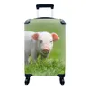 MuchoWow® Koffer Handgepäck Trolley Rollkoffer Kleine Produktbild-Vorschau 1
