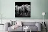 MuchoWow® Poster Elefant - Schwarz - Weiß - Tiere 75x75 cm Produktbild-Vorschau 5