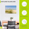 ARTland Wandbild Alu für Innen & Outdoor Dünengras Größe: Produktbild-Vorschau 4