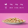 WHISKAS Adult 1+ Tasty Mix Cremige Variationen Produktbild-Vorschau 3