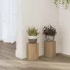 vidaXL Stojak na rośliny 2 szt. Dąb rzemieślniczy 10x10x18 Podgląd zdjęcia produktu 9