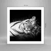 Poster - Poster ohne Rahmen - Weiß Tiger Schwarz und Weiß - Produktbild-Vorschau 4