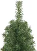 vidaXL Künstlicher Weihnachtsbaum Schlank mit Ständer Grün Produktbild-Vorschau 3
