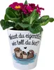 Weisst du eigentlich, wie toll du bist? Blumentopf mit Produktbild-Vorschau 2