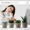 Künstliche Pflanzen Mini 4er Set Dekoration Kunstpflanzen Produktbild-Vorschau 4