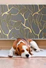 A beagle dog is sleeping on a white rug in front of a wall with a decorative leaf pattern. Produktbild-Vorschau