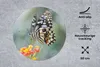 MuchoWow® Mauspad Mousepad Seiten Schmetterling auf Blume Produktbild-Vorschau 2