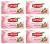Lipton Darmwohl Kräutertee 6x 20 Teebeutel - Tee Löwenzahn Produktbild-Vorschau 1