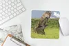 MuchoWow® Mauspad Mousepad Ein Bussard mit ausgebreiteten Produktbild-Vorschau 5