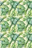 MuchoWow® Poster Jahrgang - Muster - Monstera 80x120 cm - Produktbild-Vorschau 1