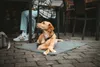 Hunter Faltbare Hunde-Reisedecke Seoul greige Produktbild-Vorschau 9