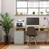 A home office setup with a printer, computer, and desk. Náhled obrázku produktu