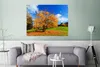 MuchoWow® Poster Baum - Blätter - Herbst - Jahreszeiten Produktbild-Vorschau 5