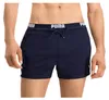 PUMA Badeshorts Logo Short Length Swim Shorts Produktbild-Vorschau 3