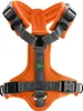 Hunter harnais Maldon, taille:XS, couleur:orange/gris Voir les images du produit 4