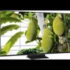 TCL MSQLED85L 55MSQLED85L, 139,7 cm (55"), 3840 x 2160 px, Podgląd zdjęcia produktu 1
