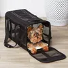 AmazonBasics Draagzak voor honden en katten, groot, 50 x Productafbeelding-voorbeeld 5