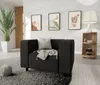 A modern living room with a single black armchair on a grey rug, next to a wooden shelving unit and a tall potted plant.