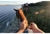 GoPro Fronthalterung 2.0 für alle GoPro-Kameras Produktbild-Vorschau 10
