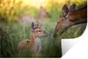 MuchoWow® - Selbstklebend - Fototapeten Produktbild-Vorschau 1