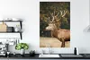 MuchoWow® Poster Hirsche - Gras - Wald 80x120 cm - Produktbild-Vorschau 3