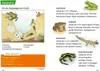 VERLAG: CARLSEN Pixi Wissen 30: Tiere erkennen Produktbild-Vorschau 1