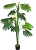 Palmier Tallipot Rônier Plante Arbre Artificielle Voir les images du produit 1