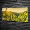 Tulup® Glas-Bild - 100x50 -Wandkunst - Wandbild hinter Produktbild-Vorschau 2
