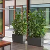 LECHUZA Vase à plantes CARARO Premium Anthracite Métallisé Voir les images du produit 12