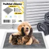 Absorpční podložky pro psy, hygienické podložky pro výcvik Náhled obrázku produktu 1