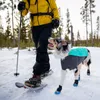 Ruffwear Hundejacke Cloud Chaser™ Soft Shell Jacket Aurora Produktbild-Vorschau 15