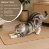 Krallenpflege Katzen Produktbild-Vorschau