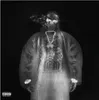 Yeat - Afterlyfe (Translucent Black Ice Coloured) (2 LP) Náhľad obrázku produktu 1