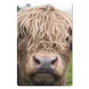 MuchoWow® Mauspad Mousepad Schottische Highlander - Gras - Produktbild-Vorschau 1
