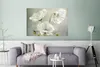 MuchoWow® Poster Blumen - Stillleben - Mohn - Weiß - Produktbild-Vorschau 5