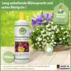 Tekuté hnojivo na květiny – 1 l Náhled obrázku produktu 2