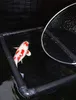 Schwimmendes Inspektionsnetz Quarantänenetz Koi l 120 x b Produktbild-Vorschau 2